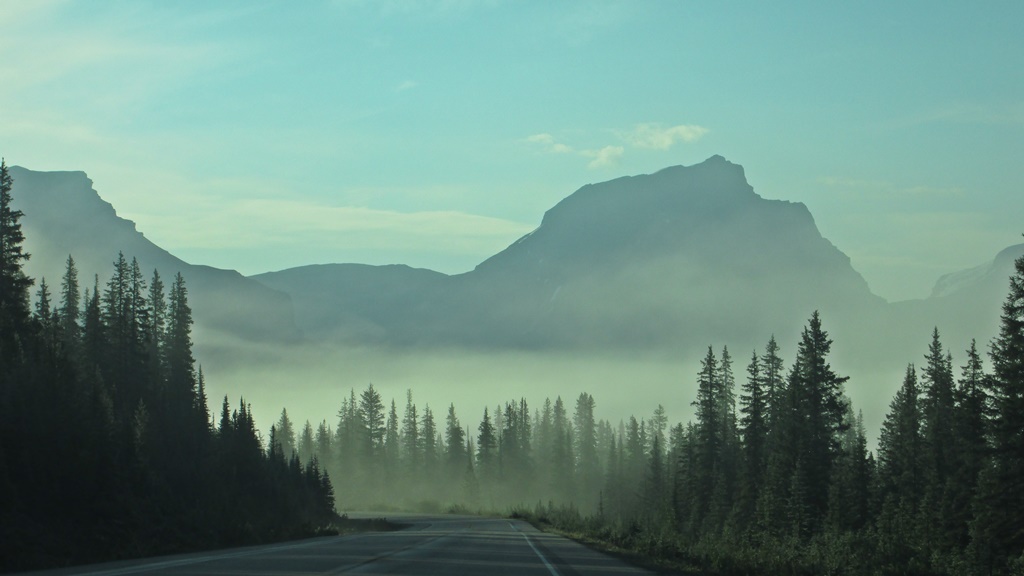 Our Travels